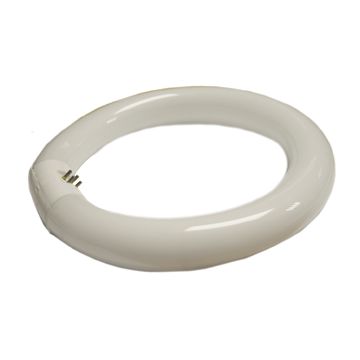 Osram Circular Fluorescent Tube